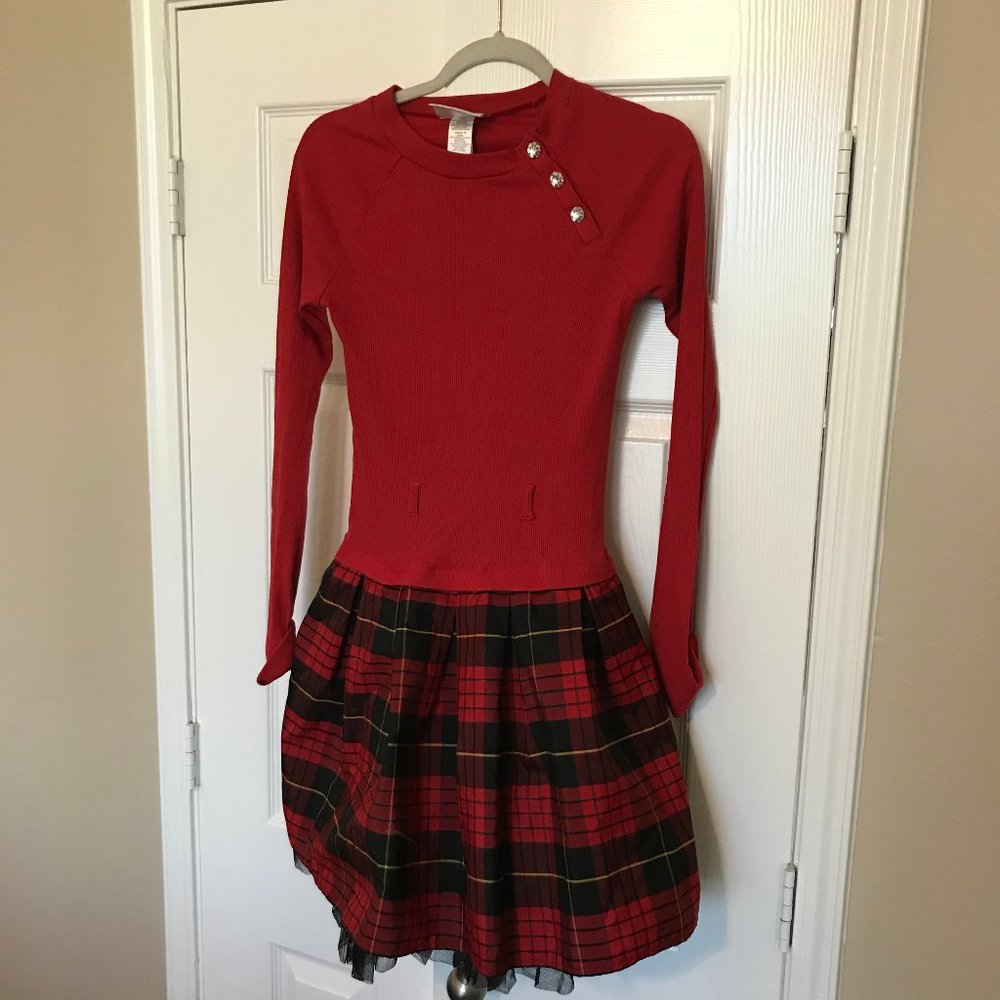 Sweet Heart Rose Long Sleeved Dress